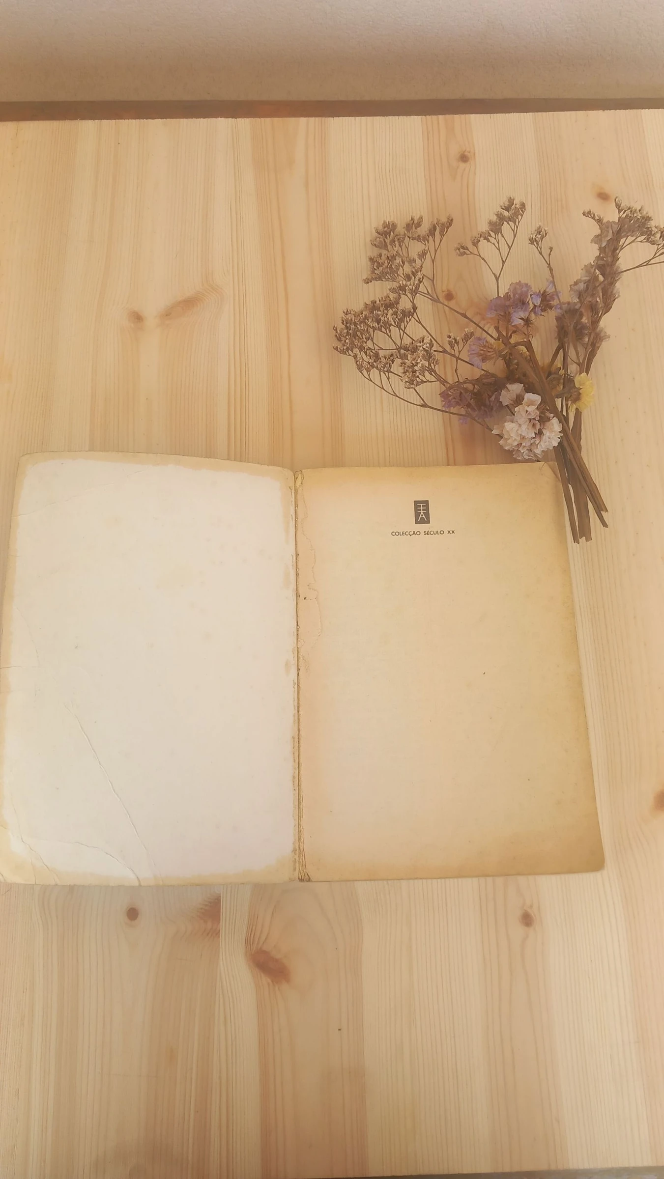 A Ponte para a Eternidade, Richard Bach – photo 3